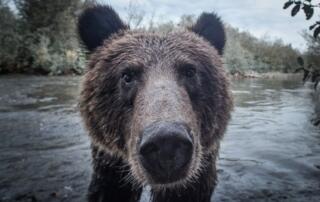 Conférence “Belles Bêtes”_Jaujac - ©guillaumemazille