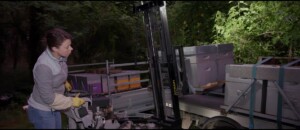 La Ferme des Abeilles