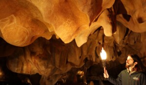 Visite Prestige à la torche à la Grotte Chauvet 2 !