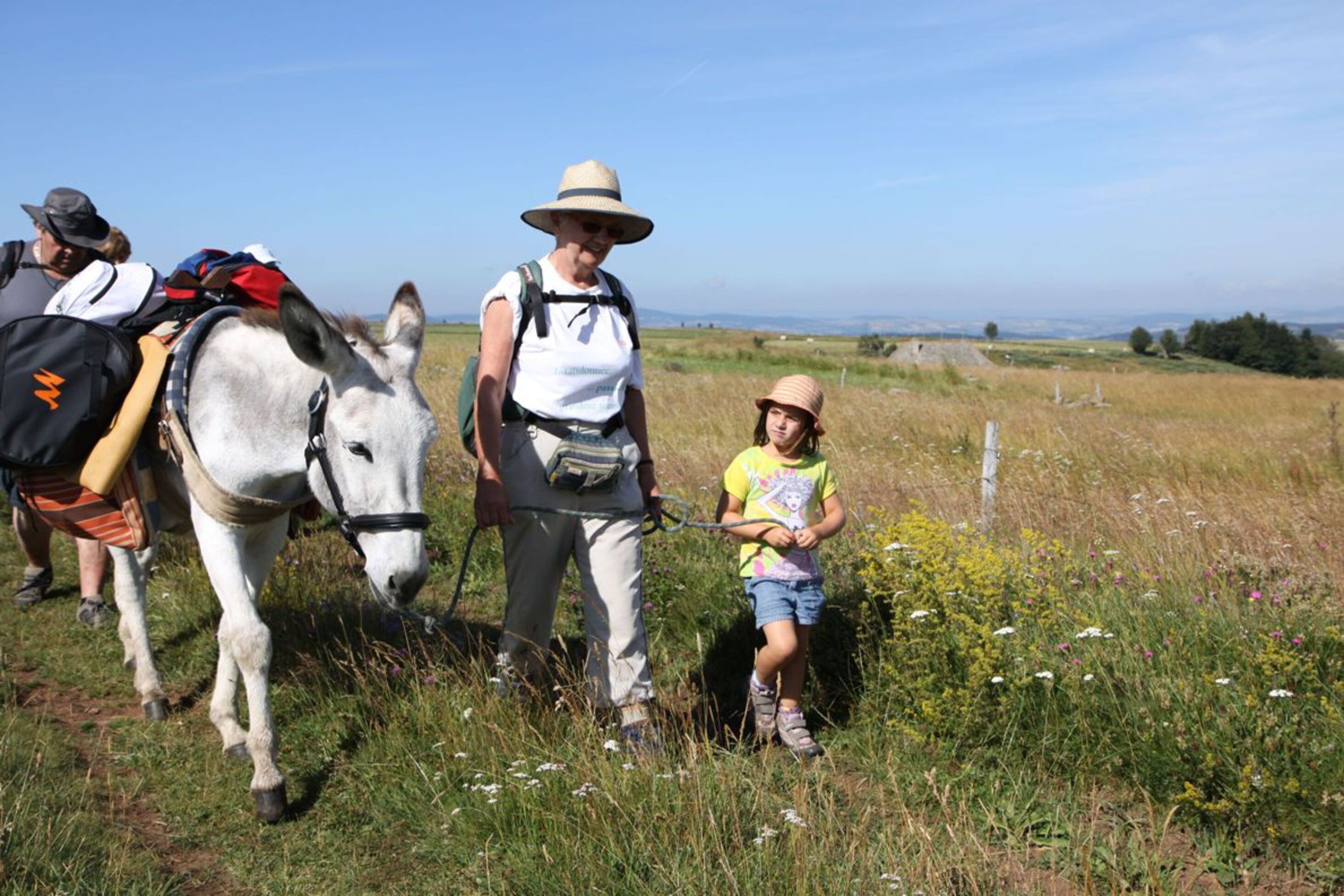 Balade en famille avec âne