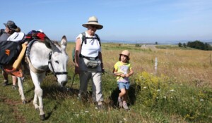 Balade en famille avec âne