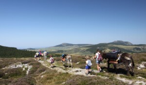 Vue plateau ardèchois