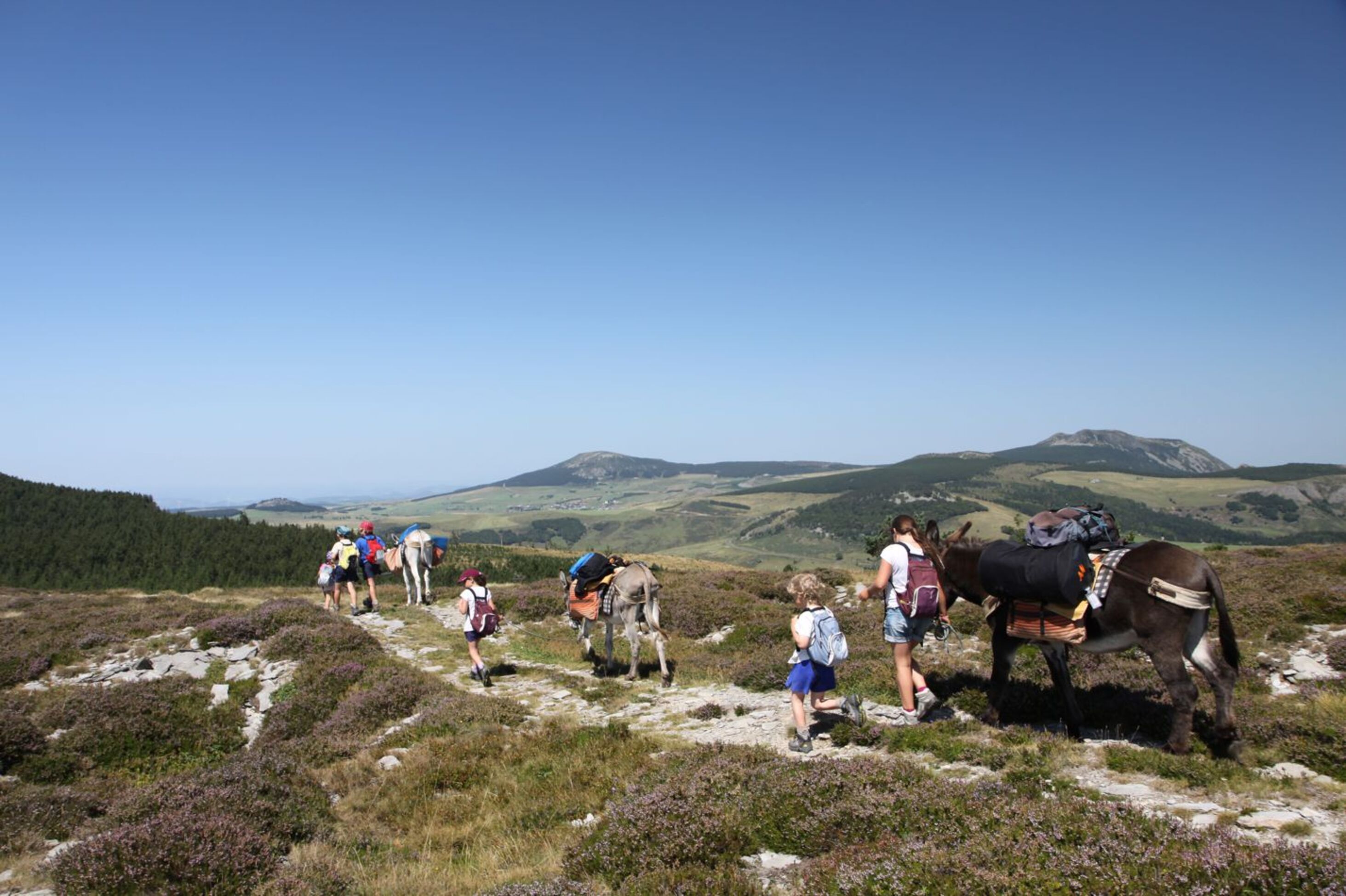 Vue plateau ardèchois