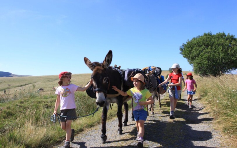 Balade avec ânes