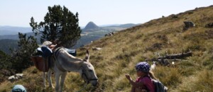 Massif Central Randonnées +