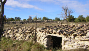 A la découverte de l'histoire et des Capitelles