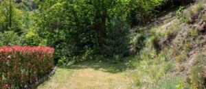 Le Cerisier