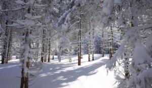 Mein erstes nordisches Biwak-Abenteuer_Burzet