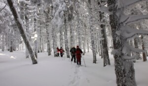 Mein erstes nordisches Biwak-Abenteuer_Burzet