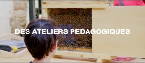 La Ferme des Abeilles