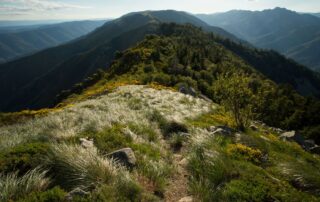 Rando : Le tour du Mont Aigu à La Souche