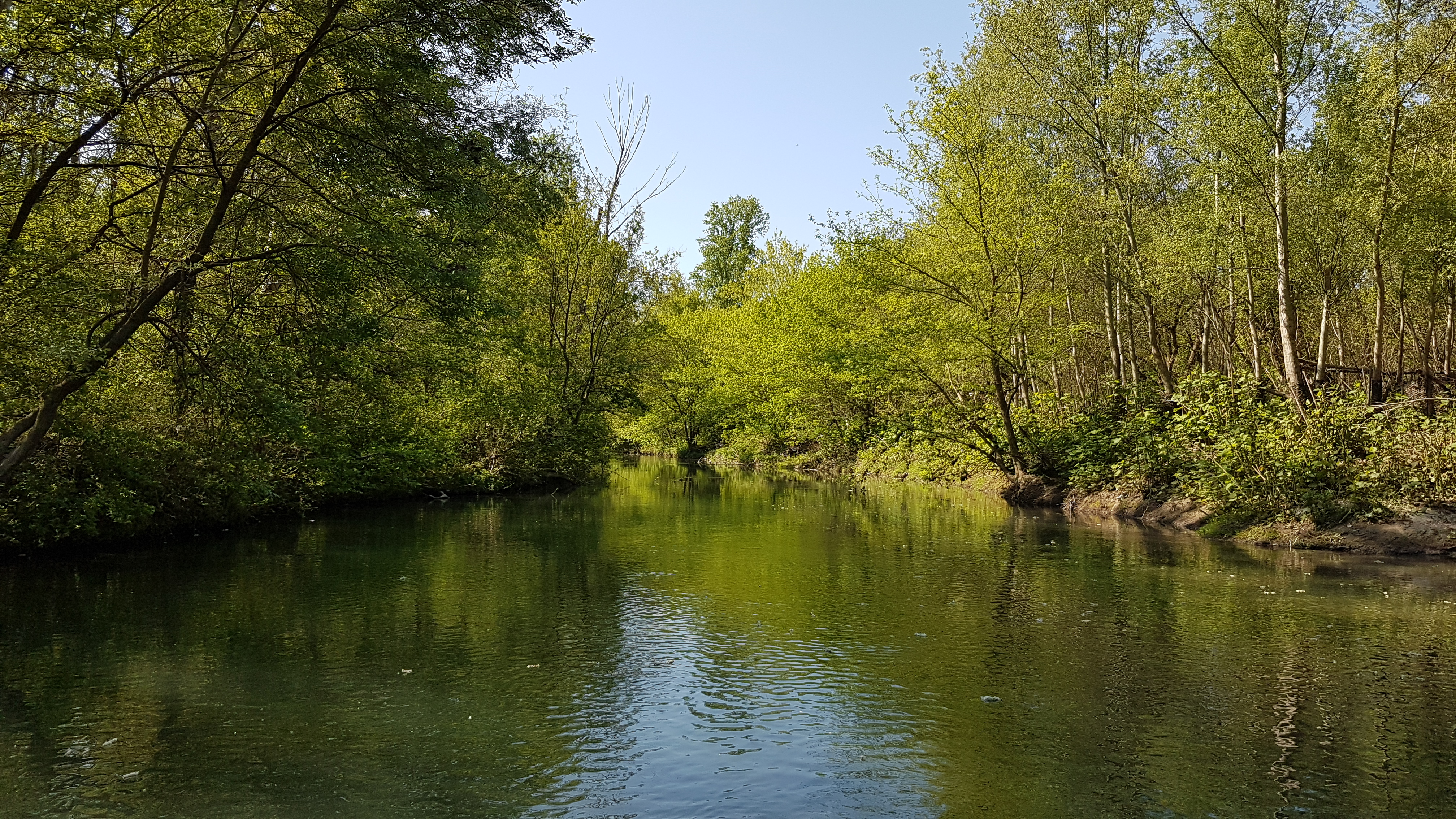 Lône de la Platière