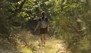 Fôret communale de Roiffieux_Roiffieux