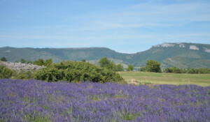 massif-de-la-dent-de-rez-gras