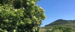 Villeneuve de Berg aux portes de la nature