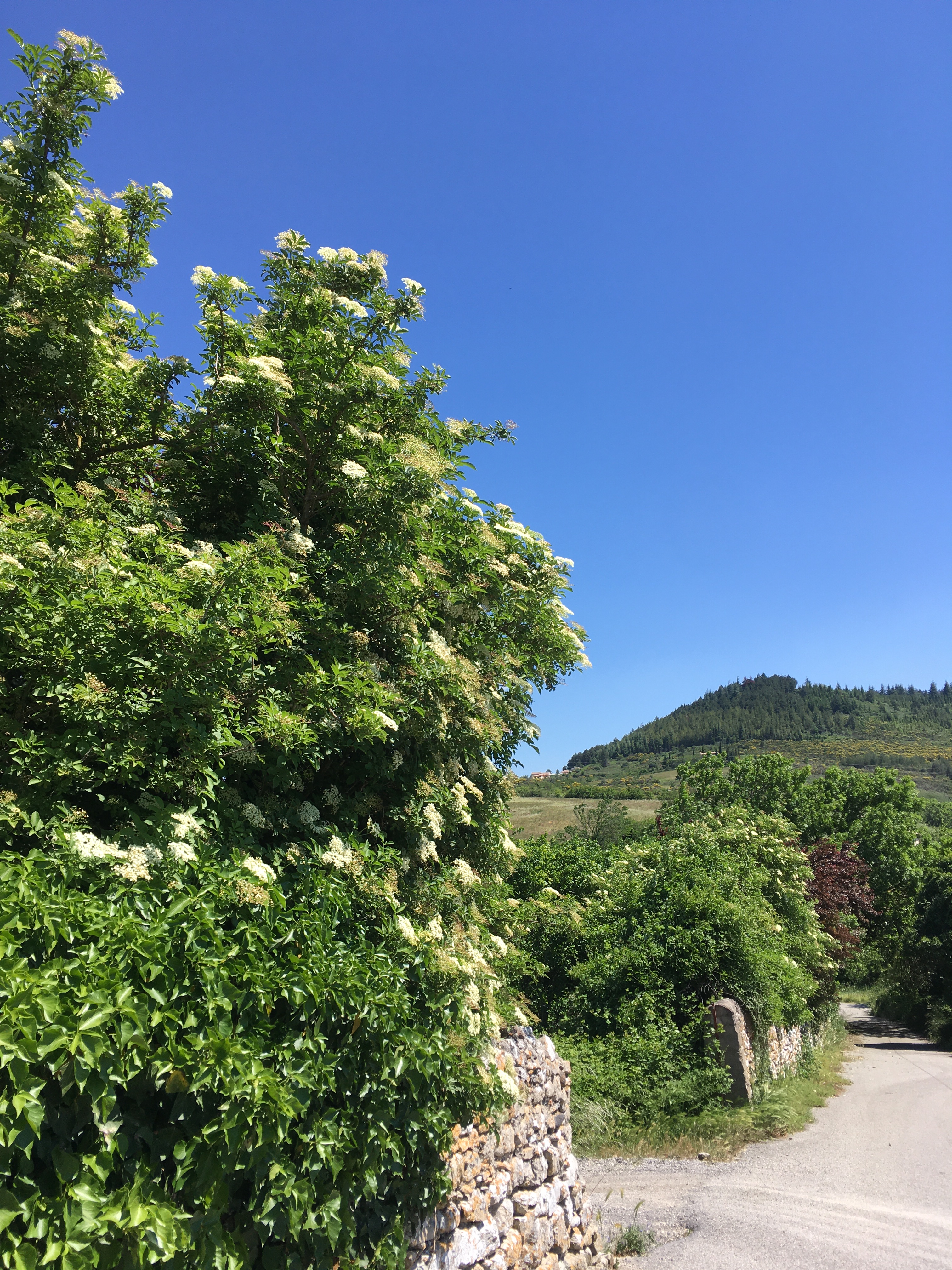 Villeneuve de Berg aux portes de la nature