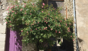 Town of Villeneuve-de-Berg