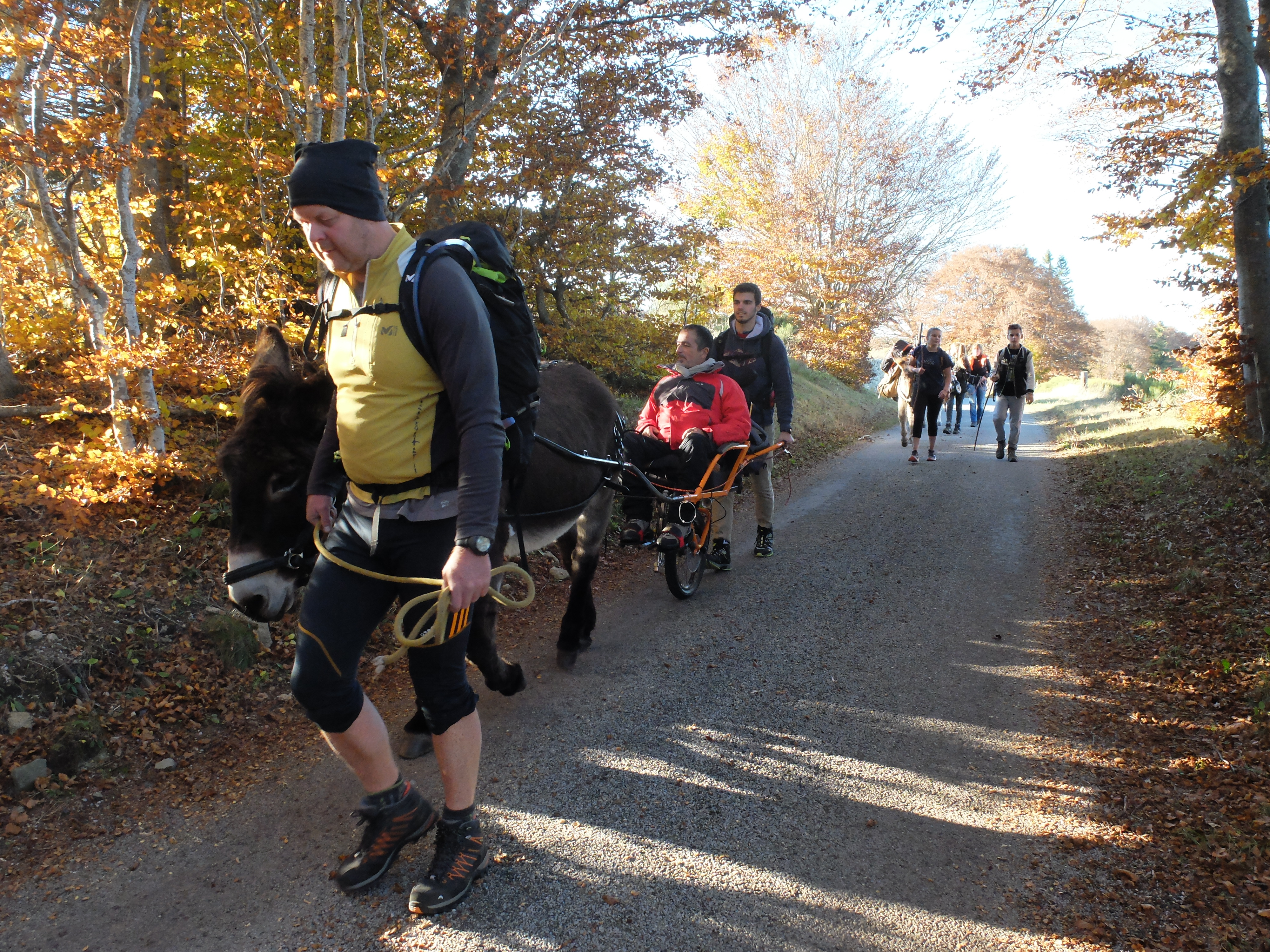 Quadric tracté par un âne.