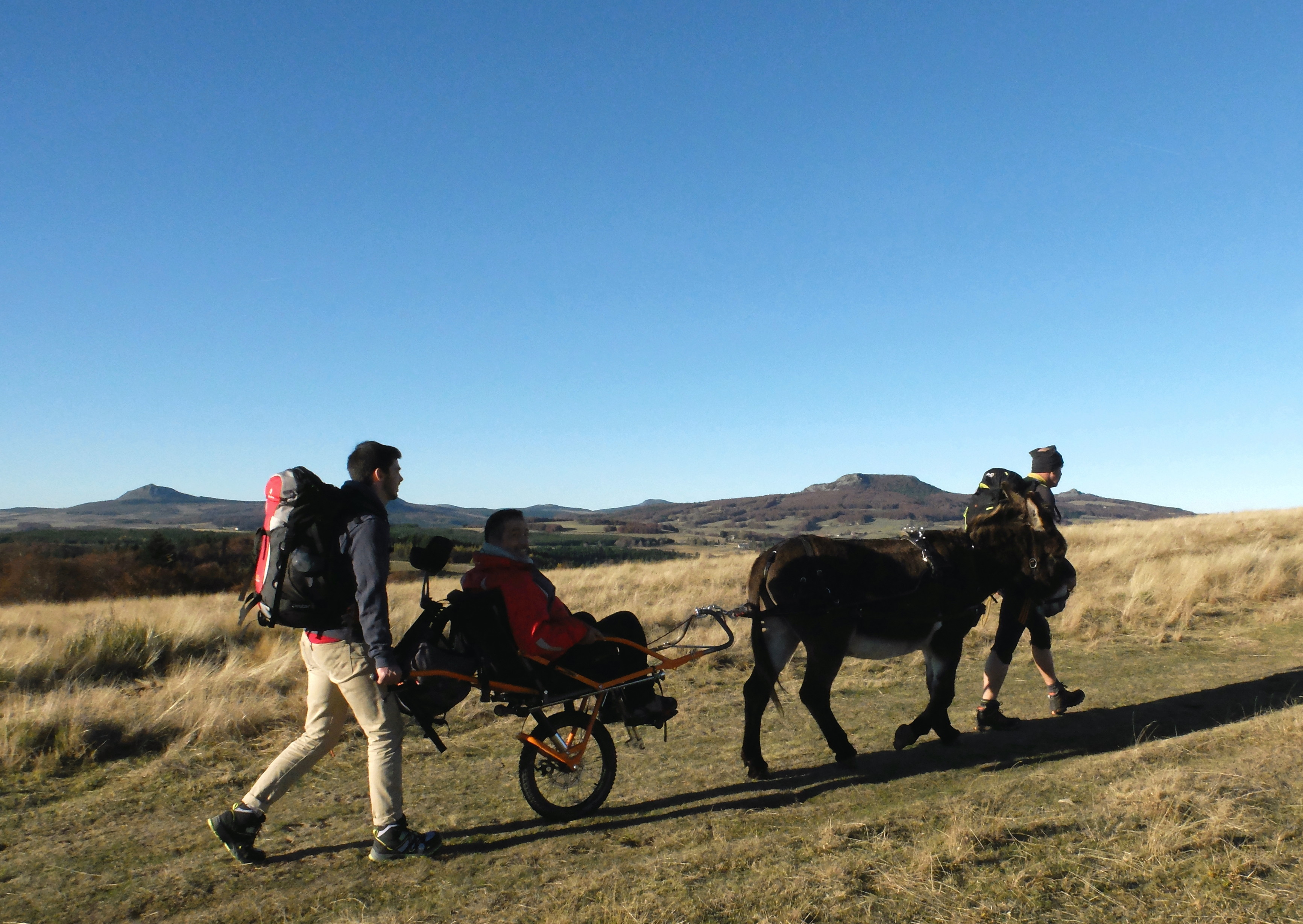 Joëlette tractée par un âne