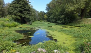 2020.04.15 - La Voulte (Printegarde) 1