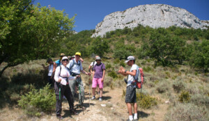 Pour une découverte du massif en randonnée