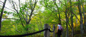 Ray Pic wasserfälle