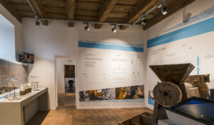 Castanea - Discover the world of sweet chestnut