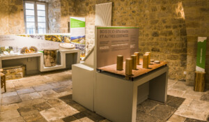 Espace Naturel du Châtaignier