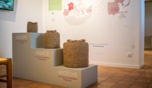 Espace Economie & Enjeux