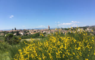 Villeneuve de Berg - ©Sandrine - Office de Tourisme Berg & Coiron