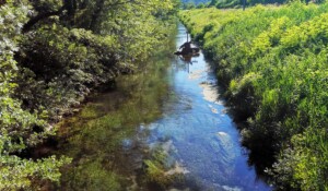 2020.04.15 - La Voulte (Printegarde) 1