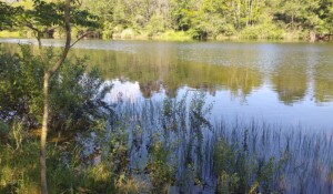 Lac des Meinettes