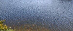 Lac des Meinettes