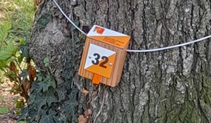 Course d'orientation balise Lalevade