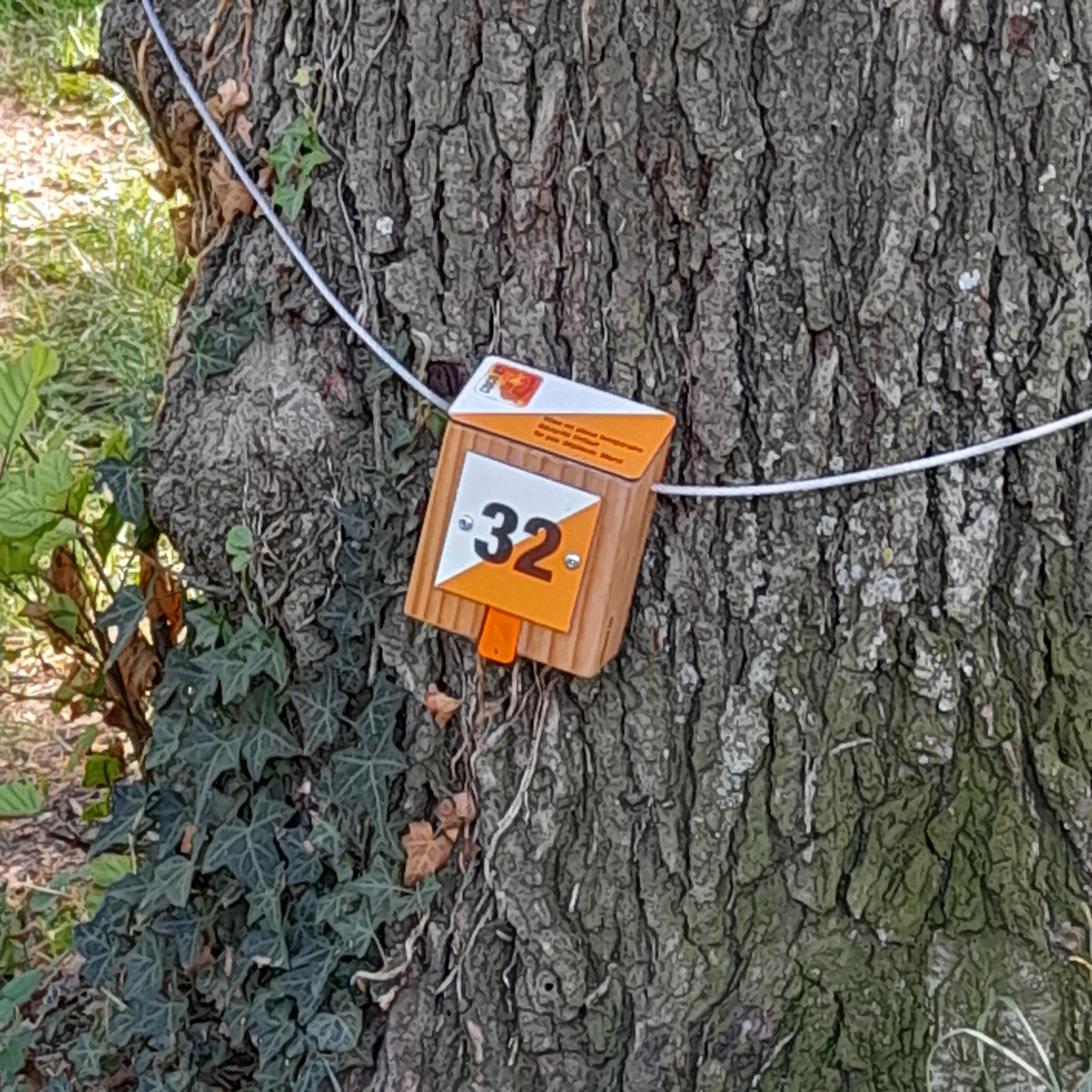 Course d'orientation balise Lalevade