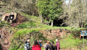 Paléodécouvertes - La Boissine