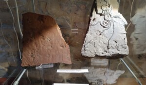 Paléodécouvertes - La Boissine