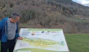 Paléodécouvertes - La Boissine