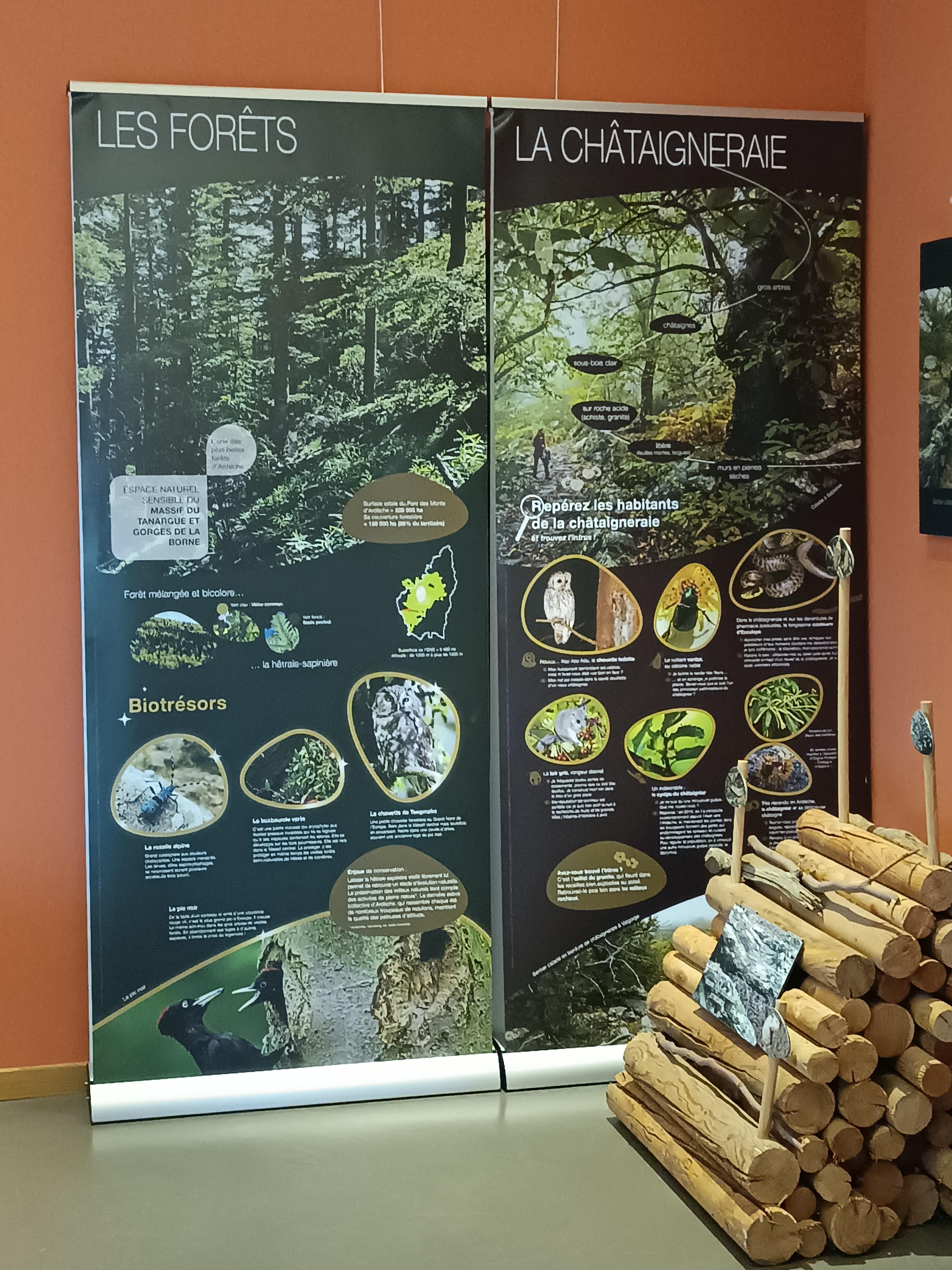 Paléodécouvertes - La Boissine