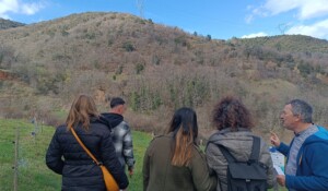 Paléodécouvertes - La Boissine