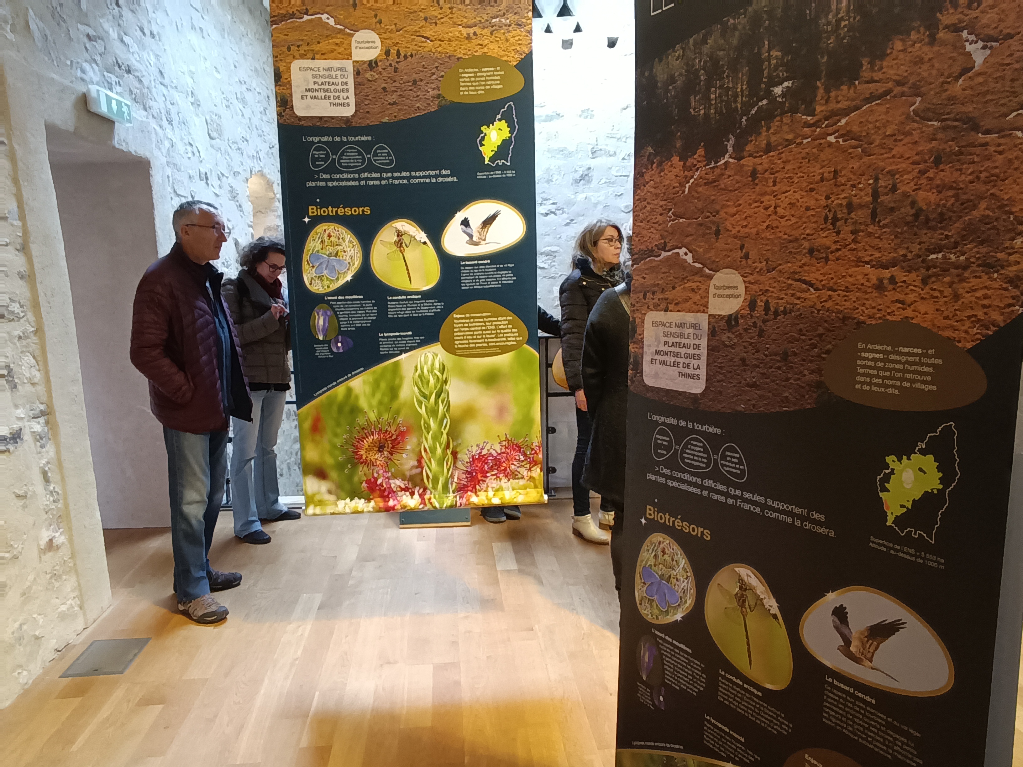 Paléodécouvertes - La Boissine