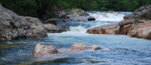 La rivière, Iris (gîtes de Neyrac-les-Bains)