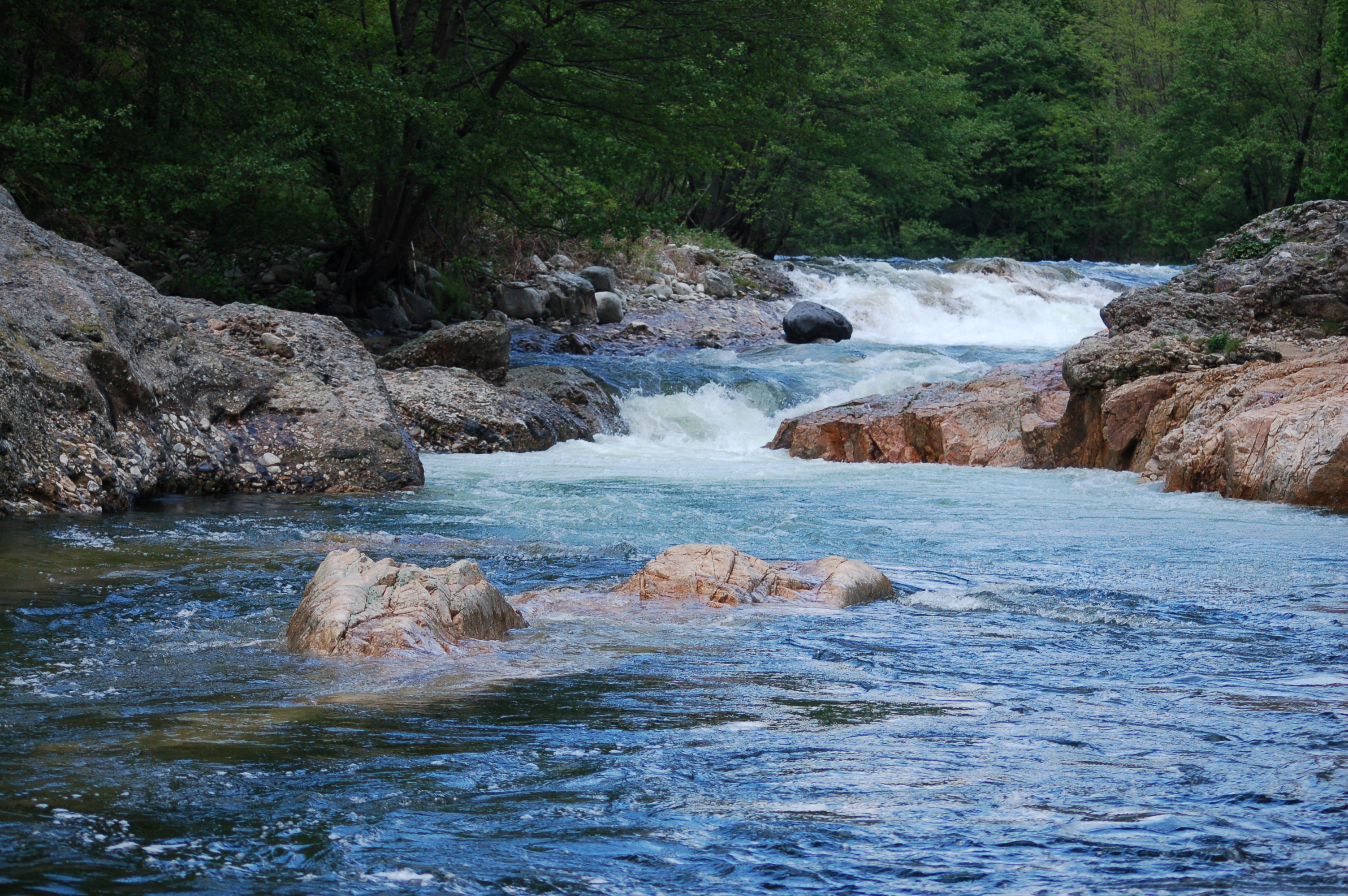 La rivière Ardèche - Châtaignier - gîtes de Neyrac-les-Bains