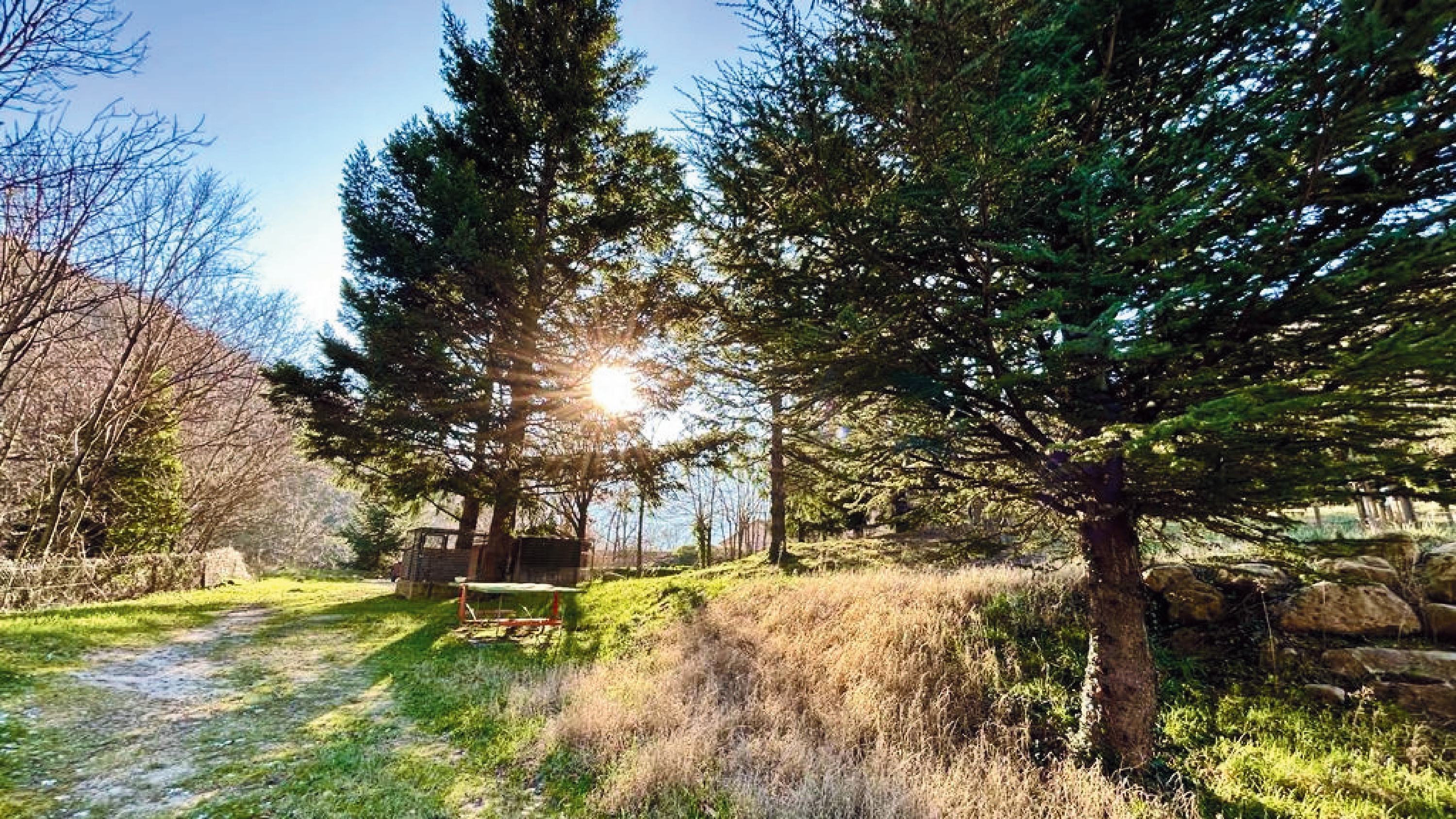 Joli exterieur ensoleillé