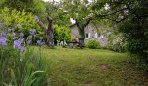 la maison en pierre