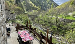 La Myrtilleraie - Chambre Myrtille