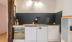 Die hohe Kastanie - die Fußgängerbrücke