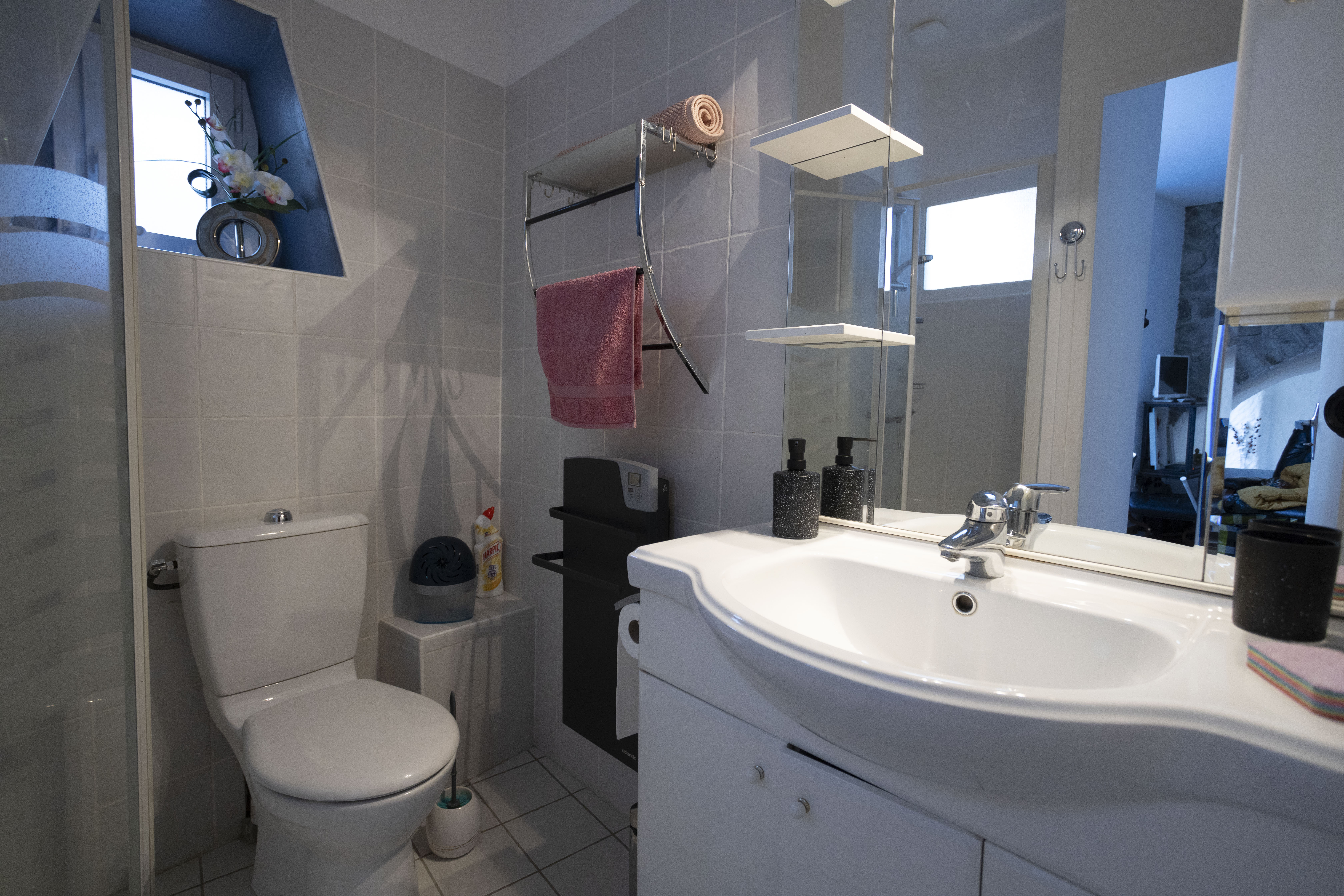 Studio du Lignon - salle de bain