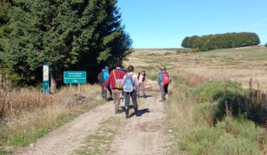 Tourbière de la Couleyre_Sagnes-et-Goudoulet