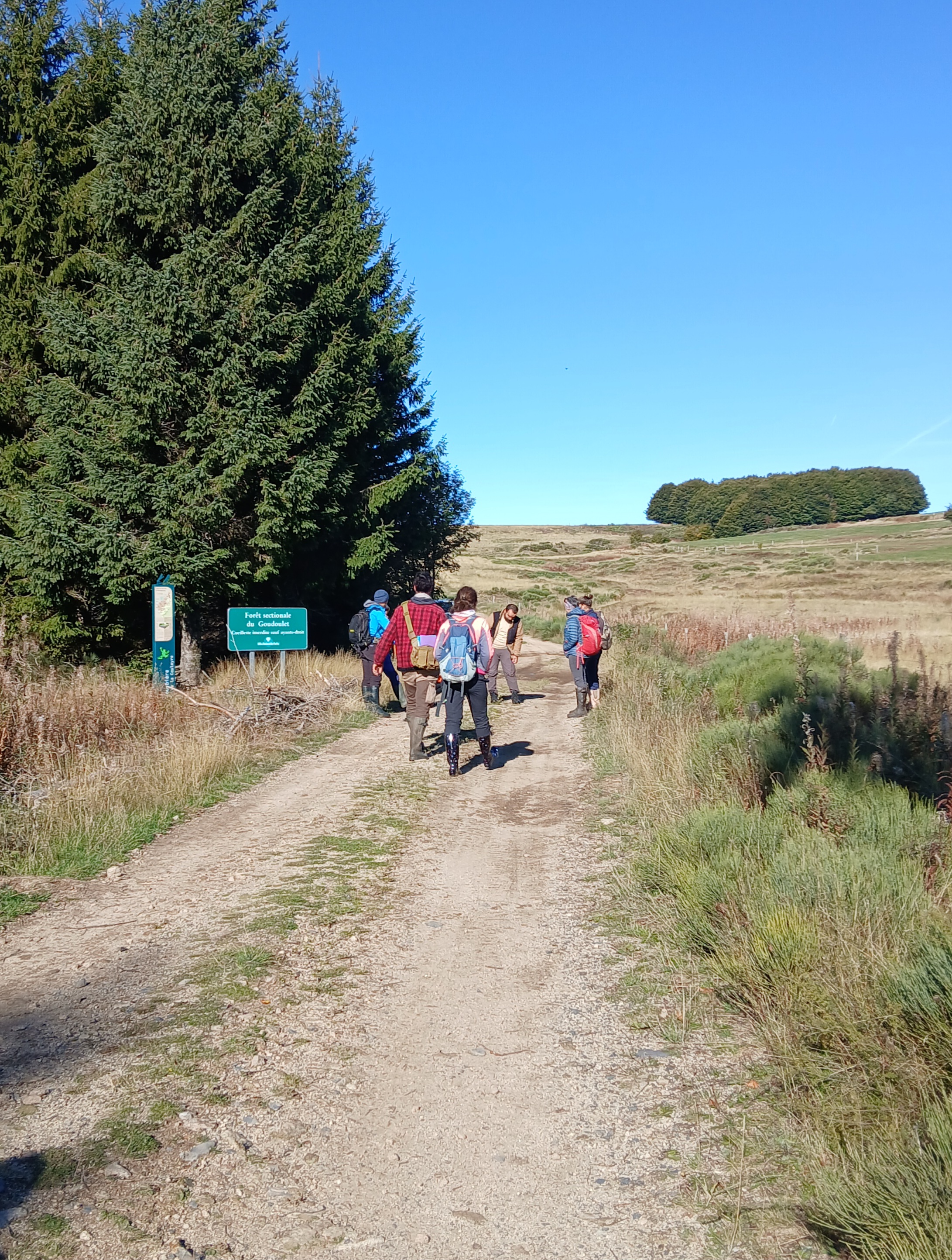 Tourbière de la Couleyre_Sagnes-et-Goudoulet